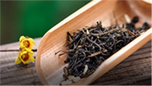 長(zhǎng)沙