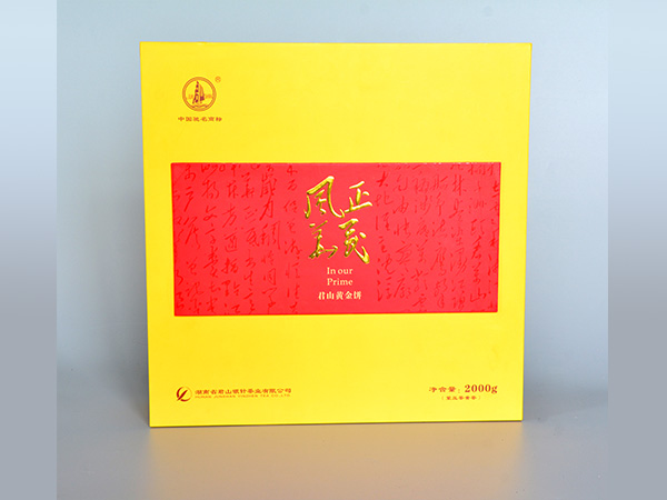 風華正茂